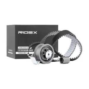 RIDEX 307T0024