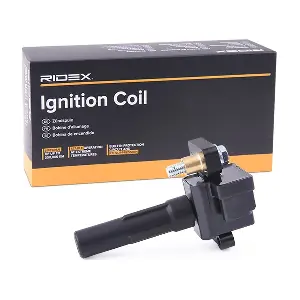 689C0385 RIDEX