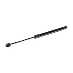219G1004 RIDEX