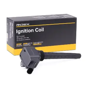 RIDEX 689C0214