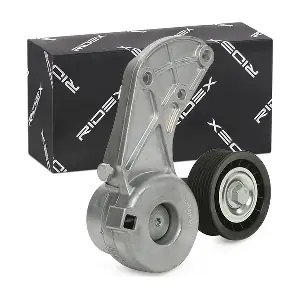 310T0219 RIDEX