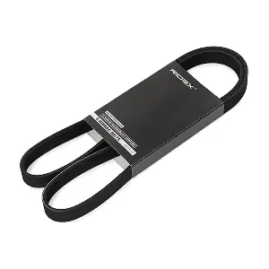 305P0556 RIDEX