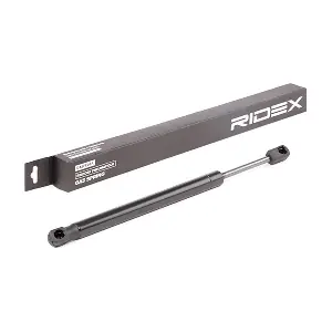 219G0795 RIDEX