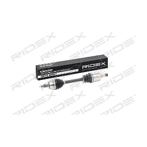 13D0125 RIDEX