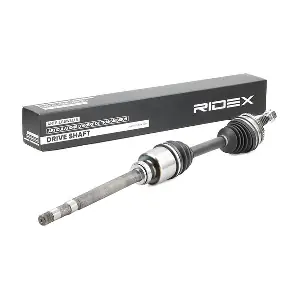13D0589 RIDEX