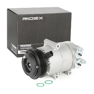 RIDEX 447K0203