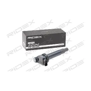 RIDEX 689C0318