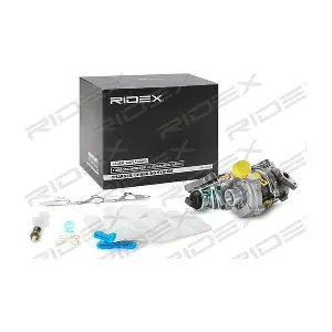 2234C0118 RIDEX