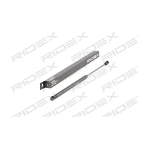 219G0675 RIDEX