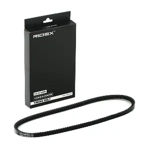 10C0014 RIDEX