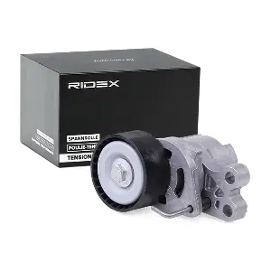 RIDEX 310T0056