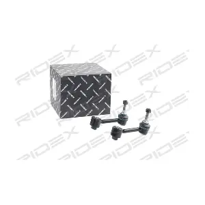 2067R0010 RIDEX