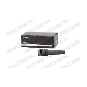 RIDEX 689C0298