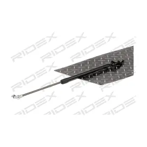 219G0580 RIDEX