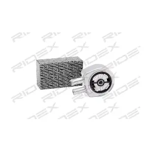 469O0055 RIDEX