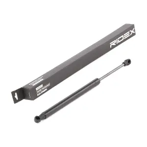 219G0717 RIDEX