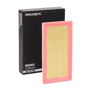 RIDEX 8A0429