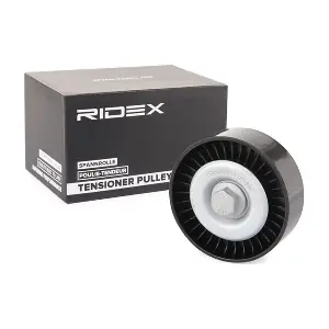 310T0318 RIDEX