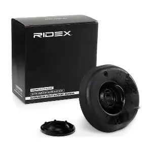1180S0268 RIDEX