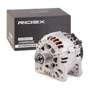 4G1128 RIDEX