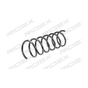 188C0263 RIDEX