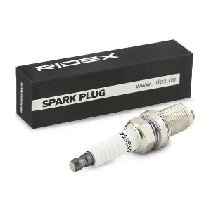 RIDEX 686S0031