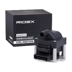 RIDEX 689C0245