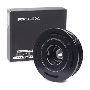 3213B0025 RIDEX