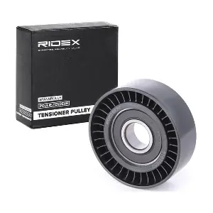 310T0052 RIDEX