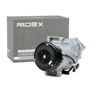 RIDEX 447K0204