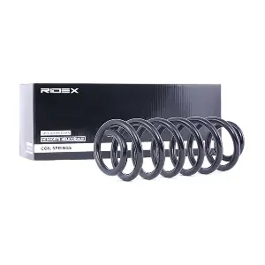 188C0083 RIDEX