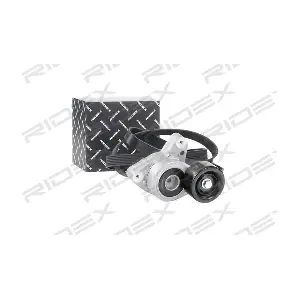 542R0239 RIDEX