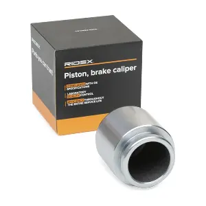 2248P0005 RIDEX