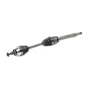 13D0619 RIDEX