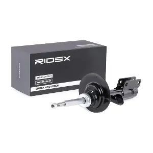 854S0289 RIDEX