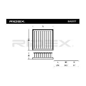 RIDEX 8A0117
