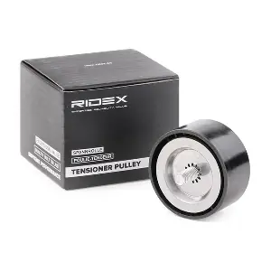 310T0282 RIDEX