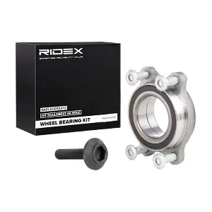 RIDEX 654W0048