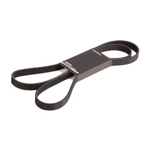 RIDEX 305P0087