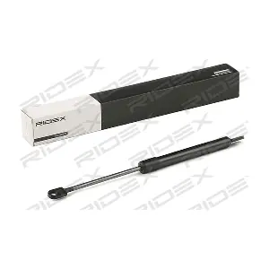 219G0667 RIDEX