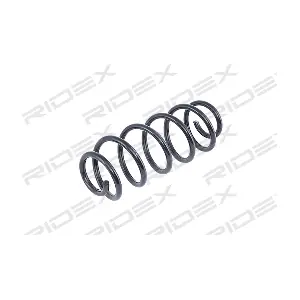 RIDEX 188C0008