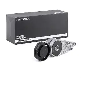540T0020 RIDEX
