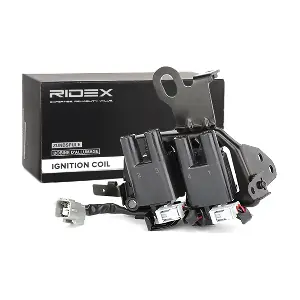 689C0132 RIDEX