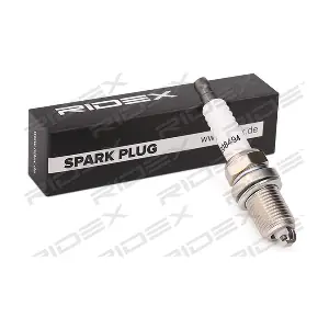 RIDEX 686S0104