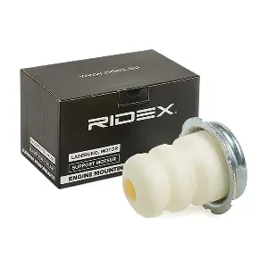 1182R0013 RIDEX