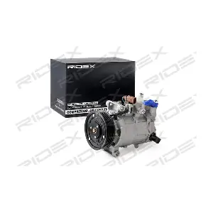 447K0310 RIDEX