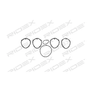 43G0020 RIDEX
