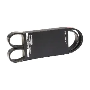 305P0291 RIDEX