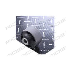 RIDEX 251T0096