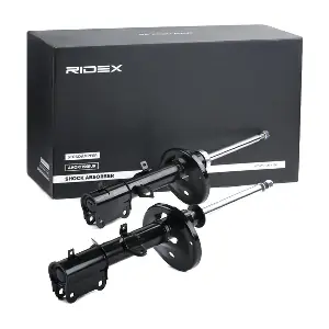854S1902 RIDEX